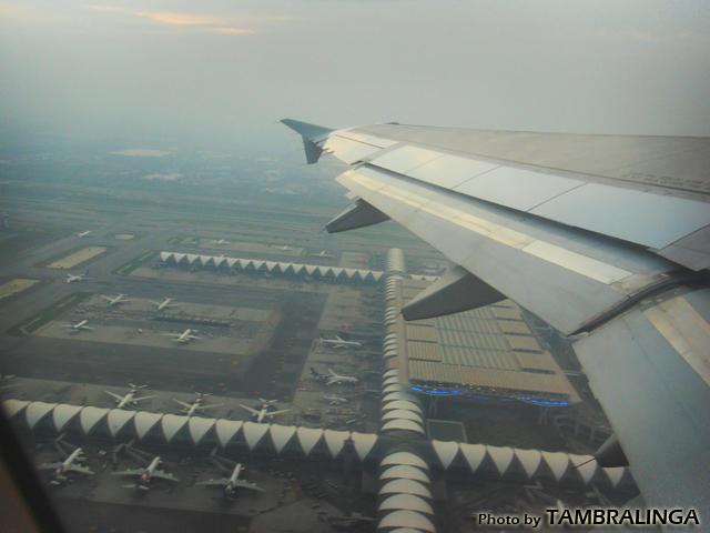 SDC11433.jpg